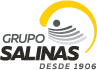 Grupo Salinas